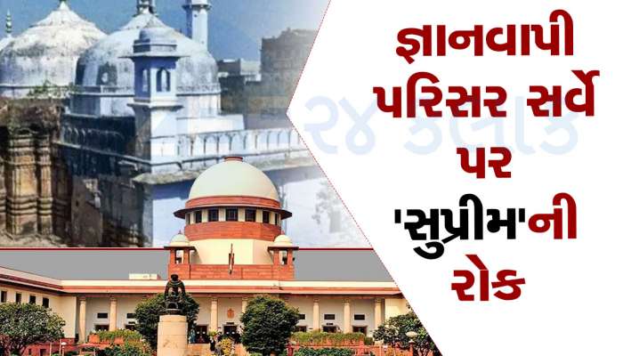Gyanvapi Survey: જ્ઞાનવાપી પરિસરના ASI સર્વે પર હાલ સુપ્રીમે લગાવી રોક, કહ્યું-મુસ્લિમ પક્ષ હાઈકોર્ટમાં જાય