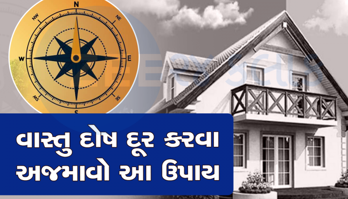 આ સરળ ઉપાયોથી ઘરના વાસ્તુ દોષ થશે દૂર, ચમકી જશે ભાગ્ય; પૈસાથી છલકાઈ જશે તિજોરી!