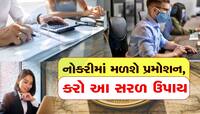 કરિયરમાં નથી મળી રહી પ્રગતિ? ઓફિસના ટેબલ પર રાખવાનું શરૂ કરી દો આ 3 ચમત્કારી વસ્તુઓ