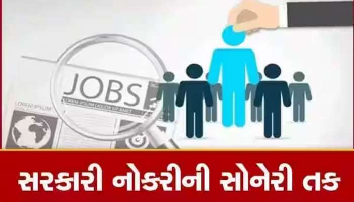 Govt Jobs 2023: ઊંચા પગારવાળી સરકારી નોકરી, કોટન કોર્પોરેશનમાં કામ કરવાની તક