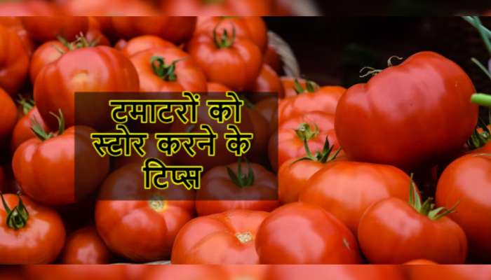 Tomato Tips: આ રીતે ટામેટા કરો સ્ટોર, મહિનાઓ સુધી ચાલશે અને સ્વાદ પણ સચવાશે