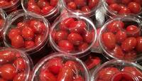 Tomato Price: 140 રૂપિયાના 2 કિલો ટમેટા લેવા છે ? તો  Paytm કરો...