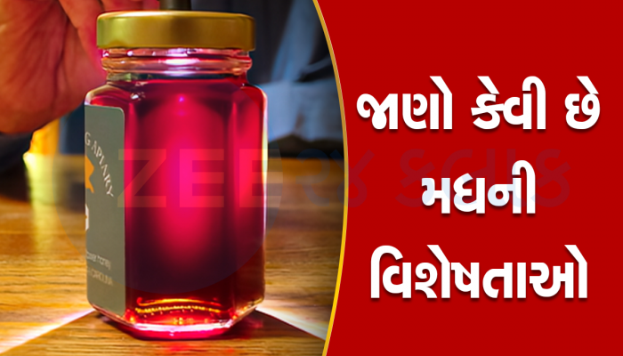Red Honey: દારૂથી પણ વધુ નશો કરે છે લાલ મધ, દુનિયાભરમાં ખૂબ છે ડિમાન્ડ, ફક્ત અહીં મળે છે