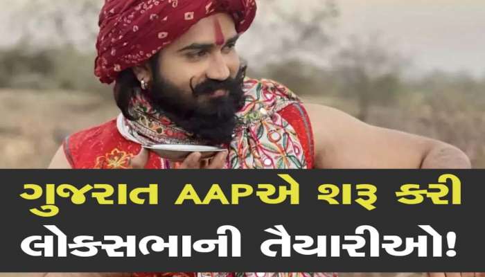 ઢોલિવૂડમાં હિટ પણ રાજનીતિમાં પણ ચાલશે જાદુ : ગુજરાતમાં આ યુવા ચહેરા પર 'આપ'નો લોકસભાનો દાવ