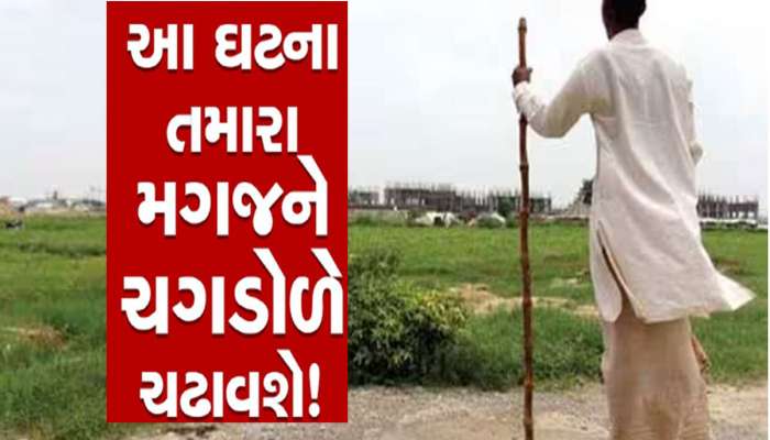 બાપ-દાદાની જમીન હોય તો સાચવજો, 8 વિધવા મહિલાઓની જમીન બારોબાર બીજાના નામે થઈ ગઈ 