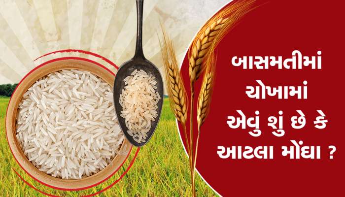 બાસમતી ચોખામાં એવું શું છે કે તે આટલા મોંઘા છે..?