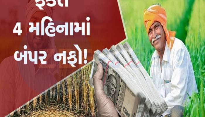 ફક્ત 4 મહિનામાં થઈ જશો માલામાલ! આ પાકથી કરી શકાશે બંપર કમાણી