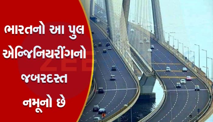 ભારતના આ પુલમાં એટલા તાર છે કે, આખી પૃથ્વીને વીંટાળી શકાય છે