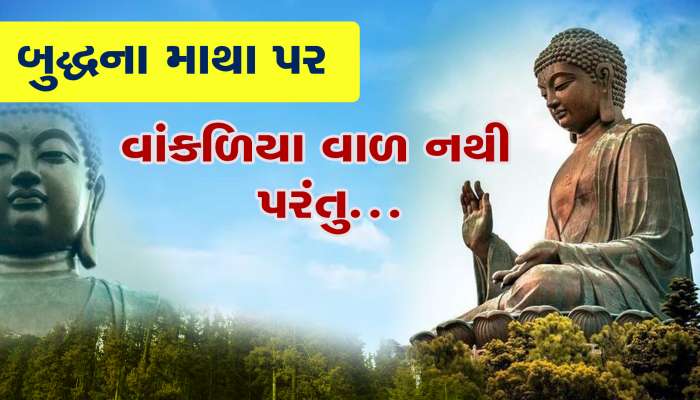 બુદ્ધના માથા પર દેખાઇ રહેલા કોઇ વાળ નથી... આ એક જાનવર છે!