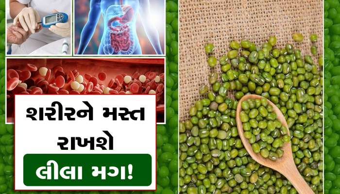 લીલા મગના અદ્દભૂત ફાયદા, એકવાર જાણશો તો ખાવાનું નહીં ભૂલો