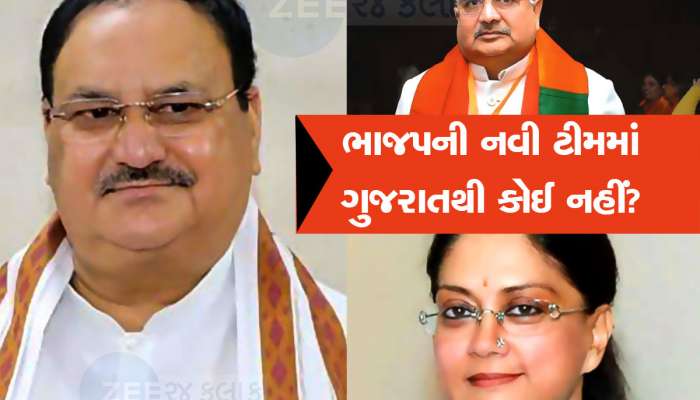  Lok Sabha Election 2024: લોકસભા ચૂંટણી પહેલા ભાજપે રાષ્ટ્રીય પદાધિકારીઓની કરી જાહેરાત, નવી ટીમમાંથી ગુજરાતની બાદબાકી