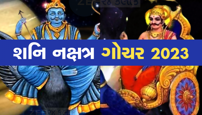 Shani Nakshatra Gochar 2023: રાહુના નક્ષત્રમાં શનિનું ગોચર, આ રાશિના જાતકોએ રહેવું સાવધાન!