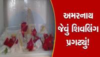 આ પાટીદાર પરિવારના ઘરમાં થયો ચમત્કાર! ફ્રિજમાં પ્રગટ થયું શિવલિંગ, ભક્તોનું ઘોડાપુર