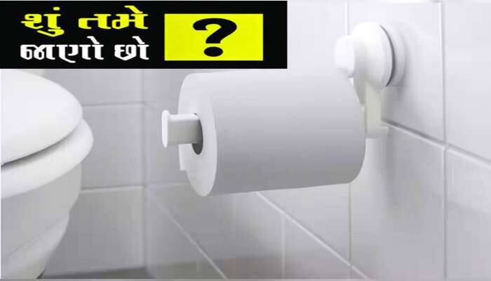 Toilet Paper: ટોયલેટ પેપર હંમેશા સફેદ જ કેમ હોય છે? કારણ જાણીને કહેશો કે સાવ આવું...