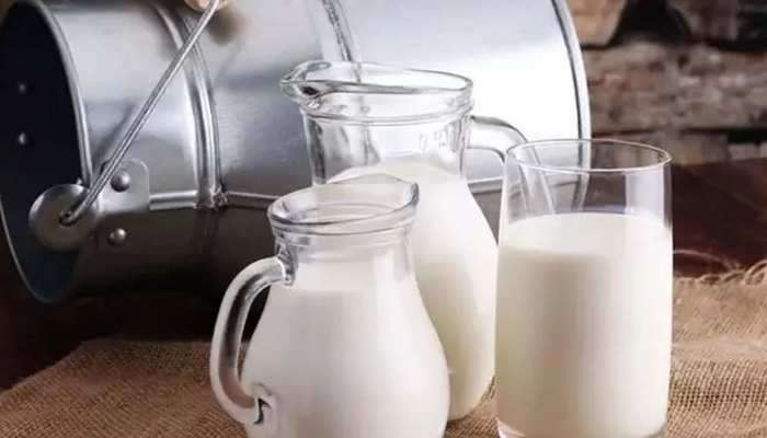 Benefits of Cow Milk: ગાયનું દૂધ પીવાના 6 ફાયદા, વિટામીન Dની ઉણપ પણ થશે પૂરી