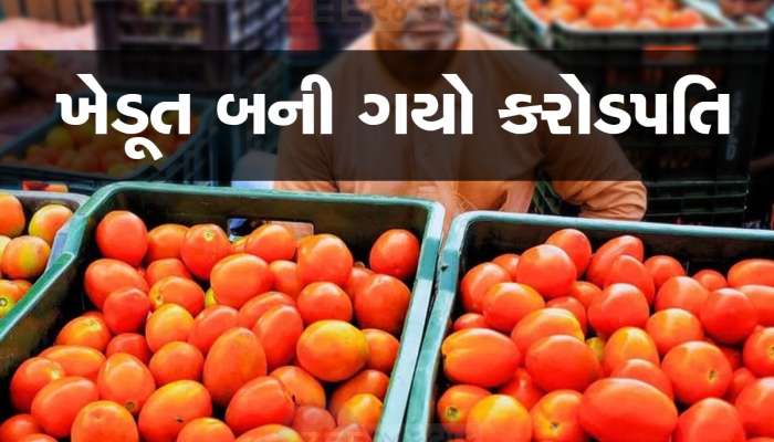 ટામેટાંનું વેચાણ કરી માલામાલ બની ગયો ખેડૂત, દોઢ મહિનામાં કરી 3 કરોડની કમાણી