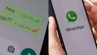 WhatsApp પર 3 ટીક એટલે તમારા મેસેજ સરકાર વાંચી રહી છે? જાણો વાયરલ મેસેજની સચ્ચાઈ