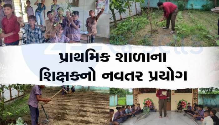 પ્રાથમિક શાળાના શિક્ષકે વિદ્યાર્થીઓને ટામેટાંના છોડ આપી આત્મનિર્ભર બનાવ્યા