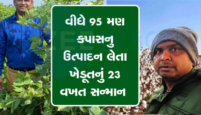 કપાસની ખેતીની વાત આવે, ત્યારે આખા દેશમાં ગર્વથી લેવાય છે આ ગુજરાતી ખેડૂતનું નામ  