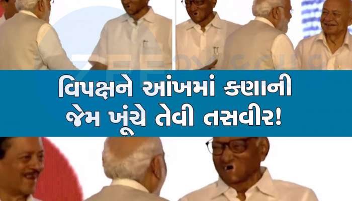 PM મોદીને મળીને ખડખડાટ હસ્યા પવાર, પીઠ પર ફેરવ્યો હાથ, 2024 પહેલા શું કહે છે આ તસવીર