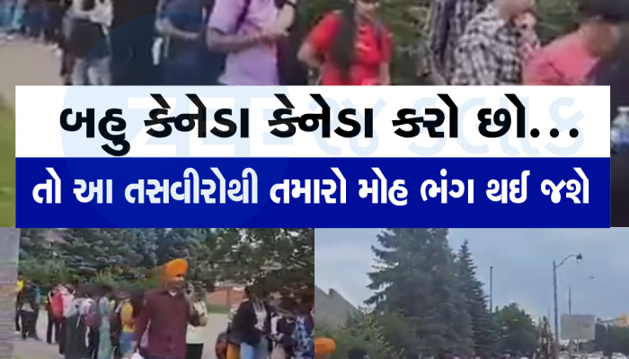 ગુજરાતીઓ જુઓ કેનેડામાં કેટલી બેરોજગારી છે, એક યુવકે વીડિયો બનાવીને ખોલી કેનેડાની અસલી પોલ 