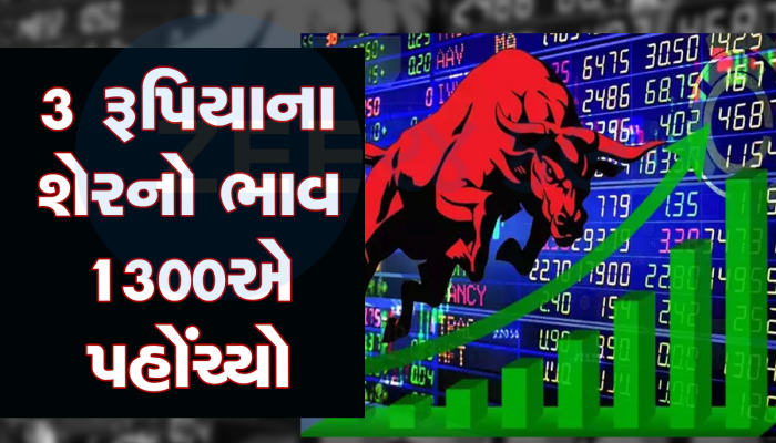 આ ચવન્ની શેરે રોકાણકારોને માલદાર બનાવ્યા, એક મહિનામાં રકમ અઢી ગણી વધી
