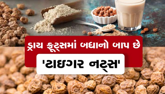 બદામ અને અખરોટથી વધુ ફાયદાકારક છે ટાઇગર નટ્સ.. જાણો તેને ખાવાના 7 અનોખા ફાયદા