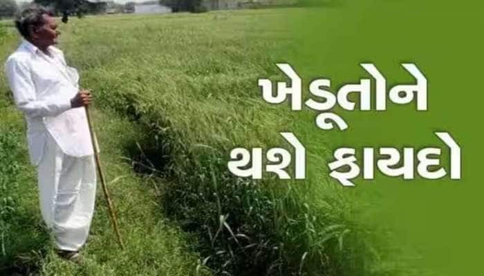 ગુજરાતના 14 જિલ્લાના ખેડૂતોને 30 કરોડની મળશે સહાય: દરેક ખેડૂતને મળશે 5400ની કીટ