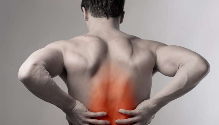 વર્ષો જૂના Back Pain કહી દો ટાટા-બાય બાય, ડેલી ડાયેટ શરૂ કરો આ 5 વસ્તુઓ