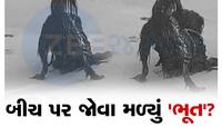એક Video એ સોશિયલ મીડિયામાં લોકોને ભયભીત કરી મૂક્યા, સમુદ્ર કિનારે આ શું જોવા મળ્યું