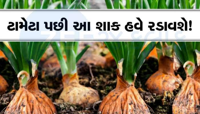 ટામેટા બાદ હવે આ શાકના ભાવ ઉછળશે? લોકોએ રાતા પાણીએ રડવાનો વારો આવશે!