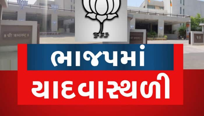 Gujarat BJP: ભાજપમાં યાદવાસ્થળી! પાટીલ જૂથ સોફટ ટાર્ગેટ, બદનામીમાં મોટાનેતાઓના હાથ