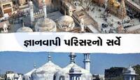 જ્ઞાનવાપી સર્વે દરમિયાન ASIને મળી એક એવી વસ્તુ, હિન્દુ પક્ષ માટે બની શકે મોટો પુરાવો