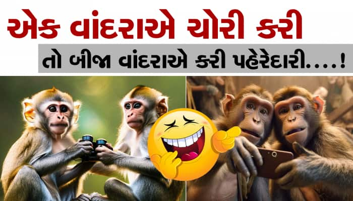 ચોરની જેમ મેડિકલ સ્ટોરમાં ઘૂસ્યા વાંદરાઓ, ORS અને ENO કરી ગયા ચટ્ટ! 