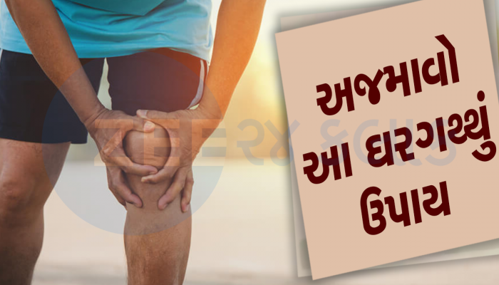 શું તમને પણ ઘૂંટણની સમસ્યાથી પરેશાન છો? આહારમાં લેવાની શરૂ કરી દો આ 5 વસ્તુઓ