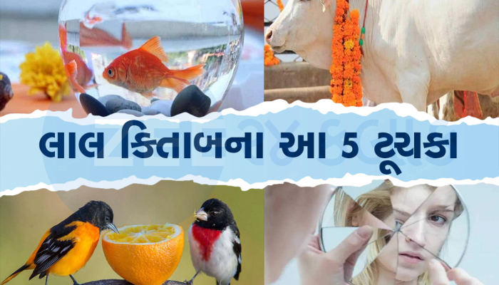 બંધ નસીબના તાળા ખોલવા હોય તો અપનાવો આ યુક્તિઓ, ધનથી તિજોરી છલકાશે 