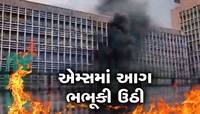 Delhi: AIIMS ના ઈમરજન્સી વોર્ડ પાસે ભીષણ આગ ફાટી નીકળી, ફાયરની 8 ગાડીઓ ઘટનાસ્થળે