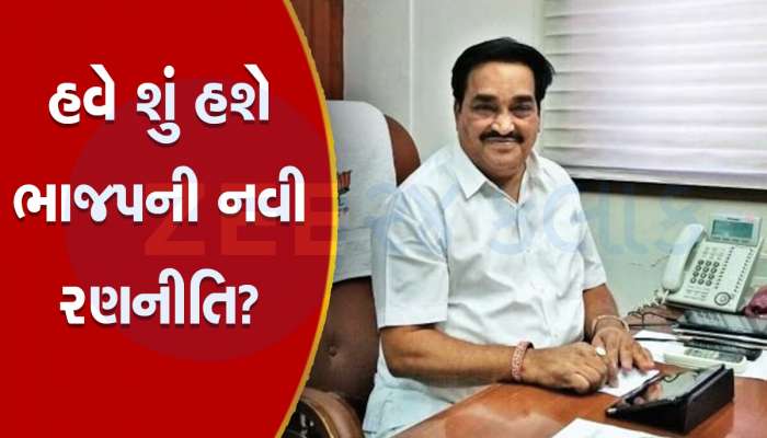 અડધી પીચે રમતા રૂપાણીની જેમ પાટીલના 2 સભ્યો અડધી મેચે આઉટ, શું ભાજપ ઉતારશે નવા ખેલાડીઓ