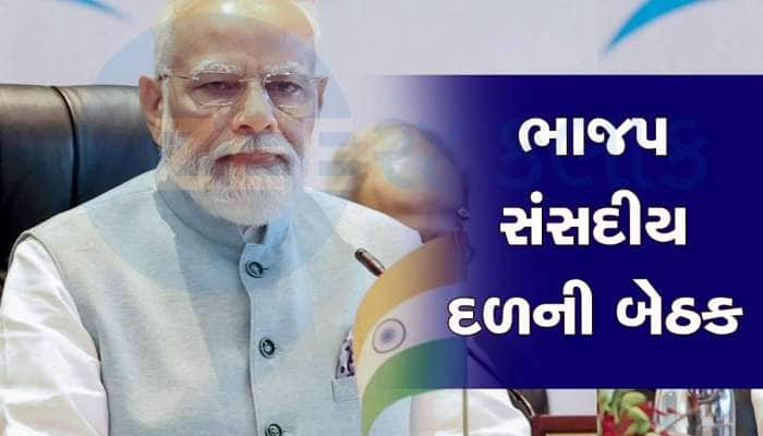 અવિશ્વાસના પ્રસ્તાવ મુદ્દે PM મોદીએ BJP સાંસદોને કહ્યું- છેલ્લા બોલે મારો સિક્સર