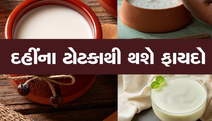 દહીમાં આ વસ્તુ મિક્સ કરીને સ્નાન કરવાની દૂર થશે આર્થિક તંગી, નોટોથી છલકાશે તિજોરી