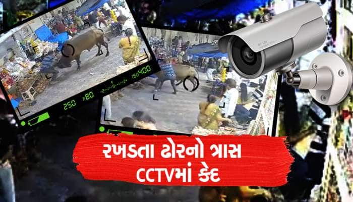દુકાનદારે સામાન બચાવવા હિંમતપૂર્વક કર્યો આખલાનો સામનો, જુઓ ઘટનાના CCTV