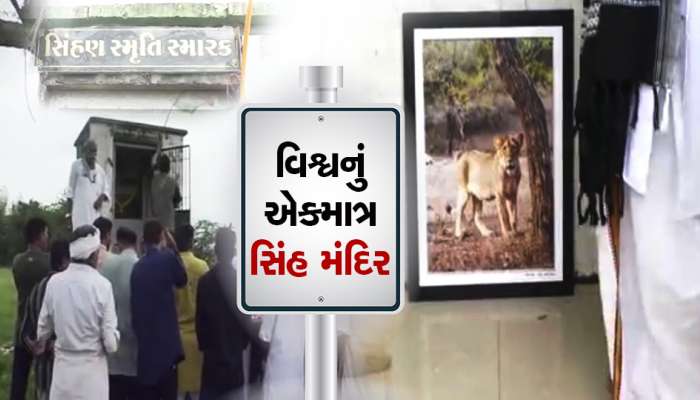 વિશ્વનું એકમાત્ર સિંહ મંદિર: બે લાડકી સિંહણો માટે ગીરમાં લોકોએ બનાવ્યું મંદિર