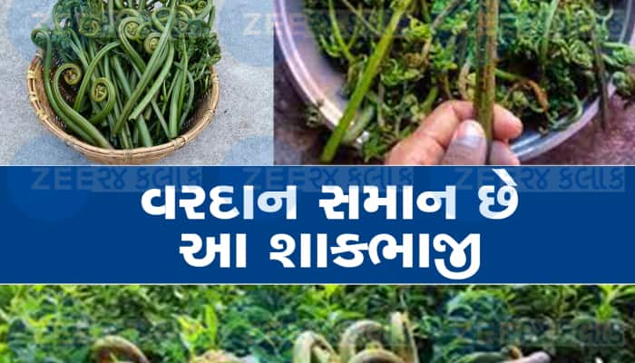 દુનિયાની સૌથી તાકતવર શાકભાજીઓમાં સામેલ છે આ પહાડી શાકભાજી, બિમારીઓને કરશે બાય બાય