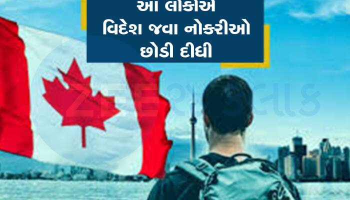 કેનેડા જઈ આવું પણ થાય છે, 500 વિદ્યાર્થીઓનું ભવિષ્ય લટકી ગયું, હવે ના ઘરના ના ઘાટના