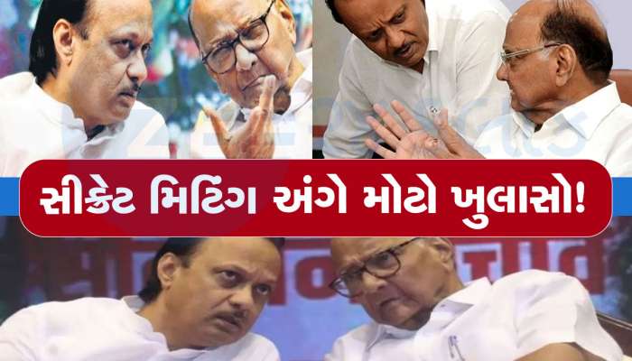 અજિત પવાર સાથેની સિક્રેટ મિટિંગમાં શરદ પવારને મોટી ઓફર? સાથી પક્ષોમાં ચિંતાનું મોજું