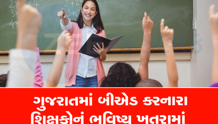 ગુજરાતમાં શિક્ષકો માટે સૌથી મોટા ખબર : ધોરણ-6થી 8માં બીએડ કરનાર નહીં બની શકે શિક્ષક