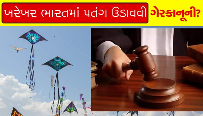 શું ખરેખર પતંગ ઉડાવવી ગેરકાનૂની છે? જો ઉડાવશો તો થઇ શકે છે જેલ...