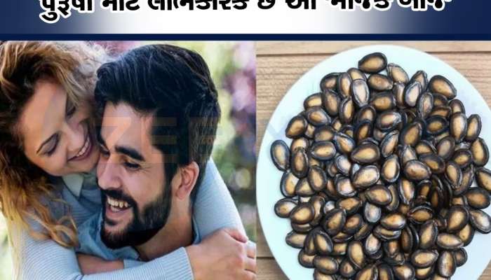પુરુષોની સમસ્યાઓમાં વરદાન છે આ કાળા બીજ, ચમત્કારિક ગુણધર્મોથી મળશે જોરદાર ફાયદો