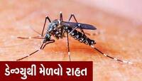 Dengue: તમને અને તમારા પરિવારને આ રીતે ડેન્ગ્યુથી બચાવો, જાણો શું કહે છે નિષ્ણાતો