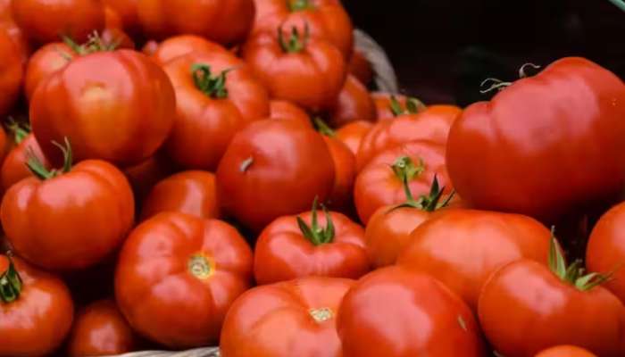 Tomato Price Relief: 20 ઓગસ્ટથી 40 રૂપિયા પ્રતિ કિલો મળશે ટામેટા, સરકારે લીધો મહત્વનો નિર્ણય